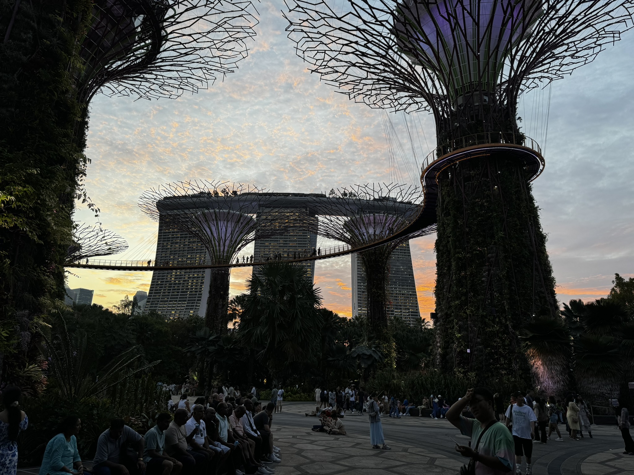 Family Adventure to Singapore, view of Marina Bay Sands at sunset, from the Supertree Grove.