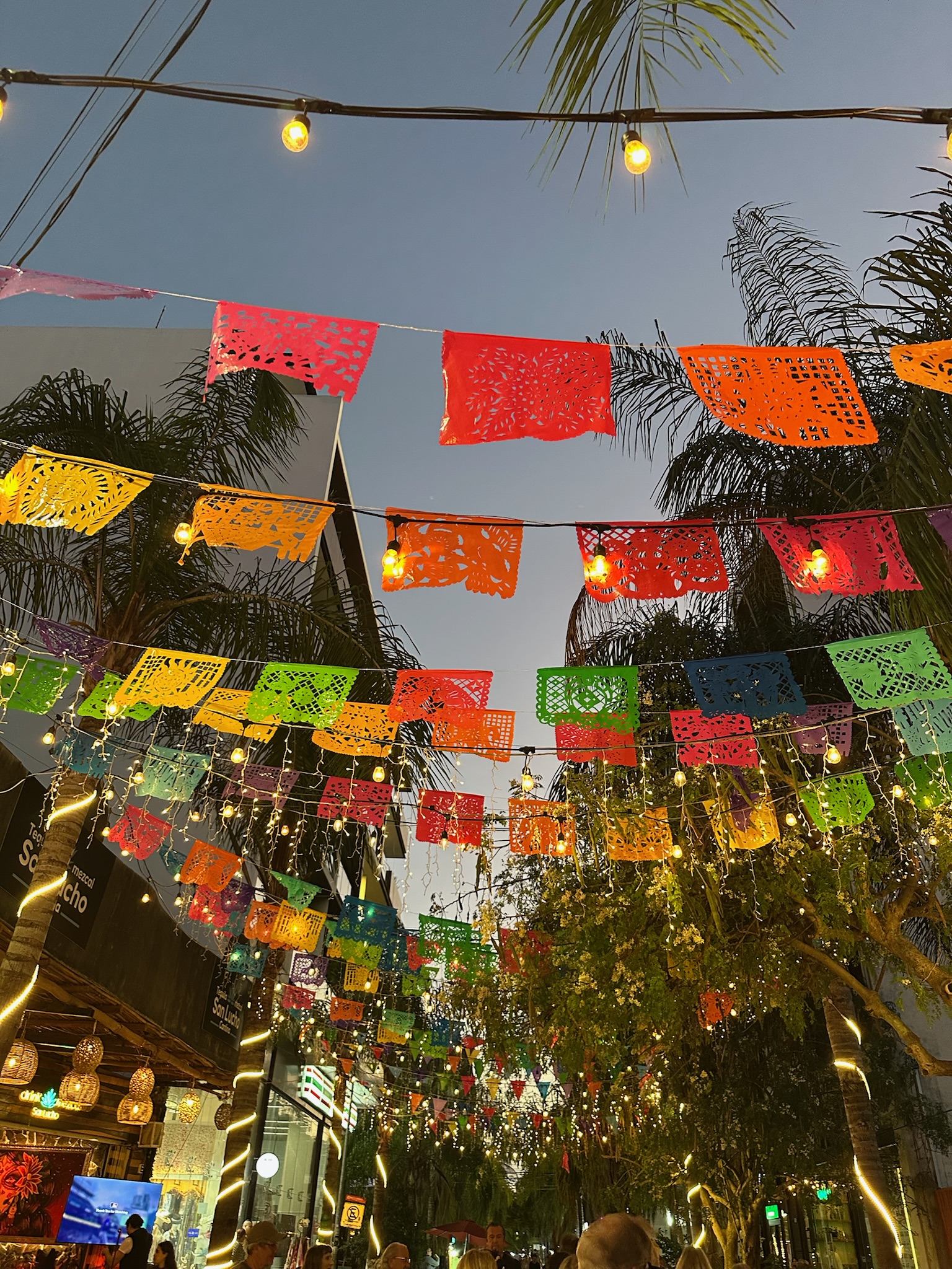 Discovering the real Mexican Caribbean