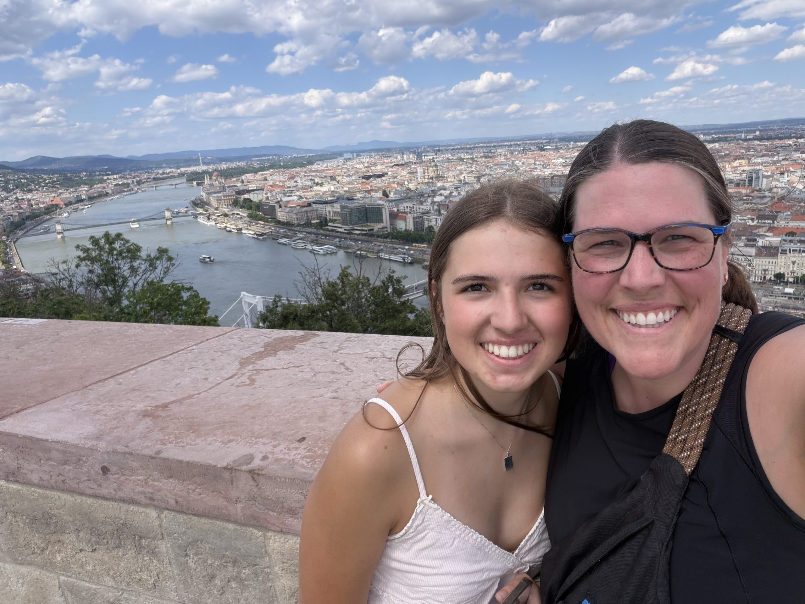 View of Budapest from Gellért Hill with Danube